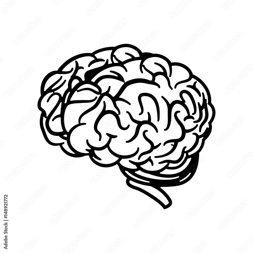 Human brain symbol icon vector illustration graphic design Human brain symbol icon vector illustration graphic design