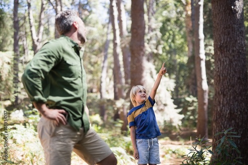 Little boy showing something to father in forest