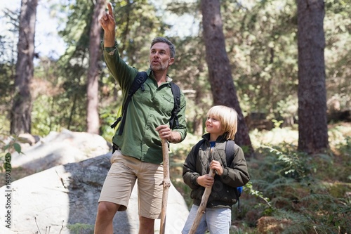 Father pointing away with son in forest