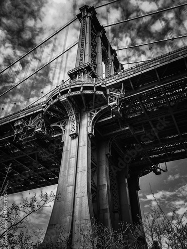 Manhattan bridge and plant with cloudy sky in black and white
