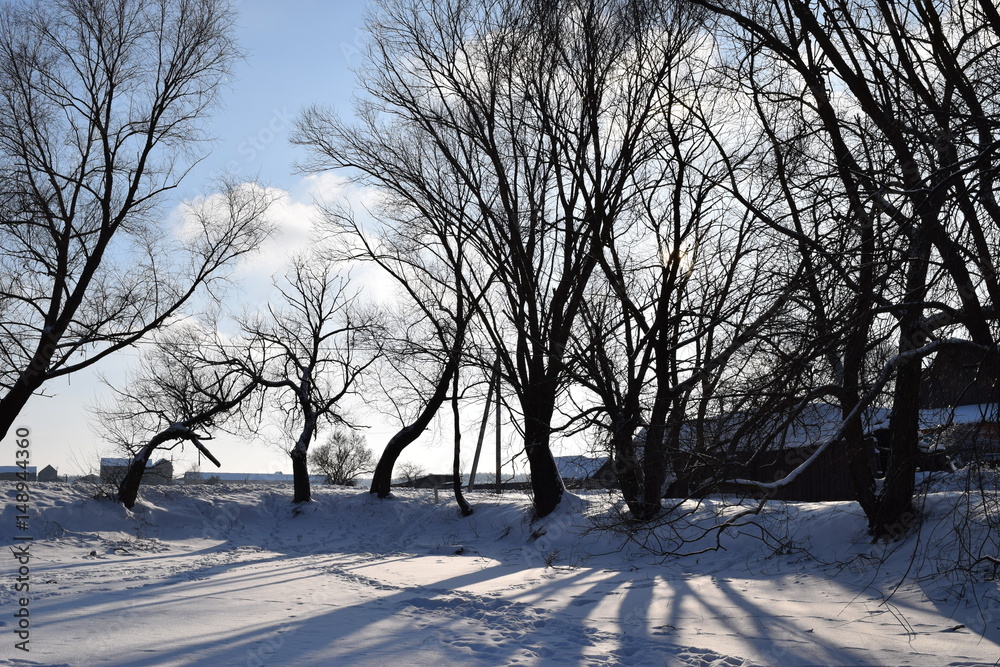 Winter sunny day