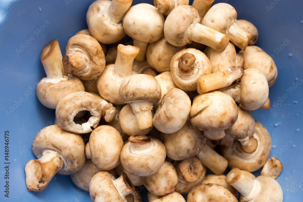 Fototapeta premium Clean fresh mushrooms in a blue cup