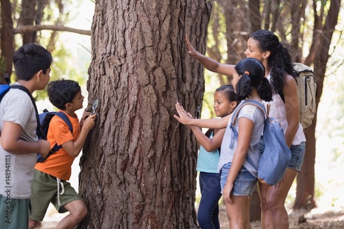 Teacher and children touching tree trunk in forest
