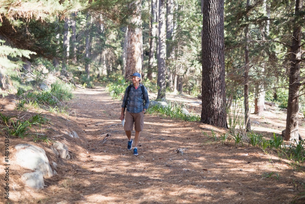 Happy hiker walking trail amidst trees Happy hiker walking trail amidst trees