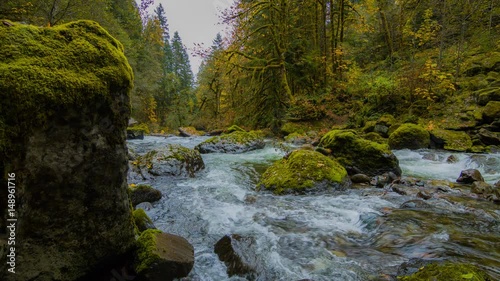 Blue river flowing among the bright yellow trees. The bright colors of autumn. Amazing fall. Autumn forest on the riverside. 4K, 3840*2160, high bit rate, UHD