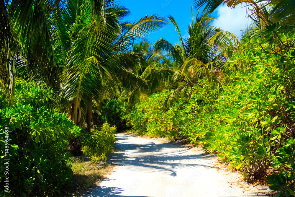 Dreamscape Escape On Maldives Dreamscape Escape On Maldives