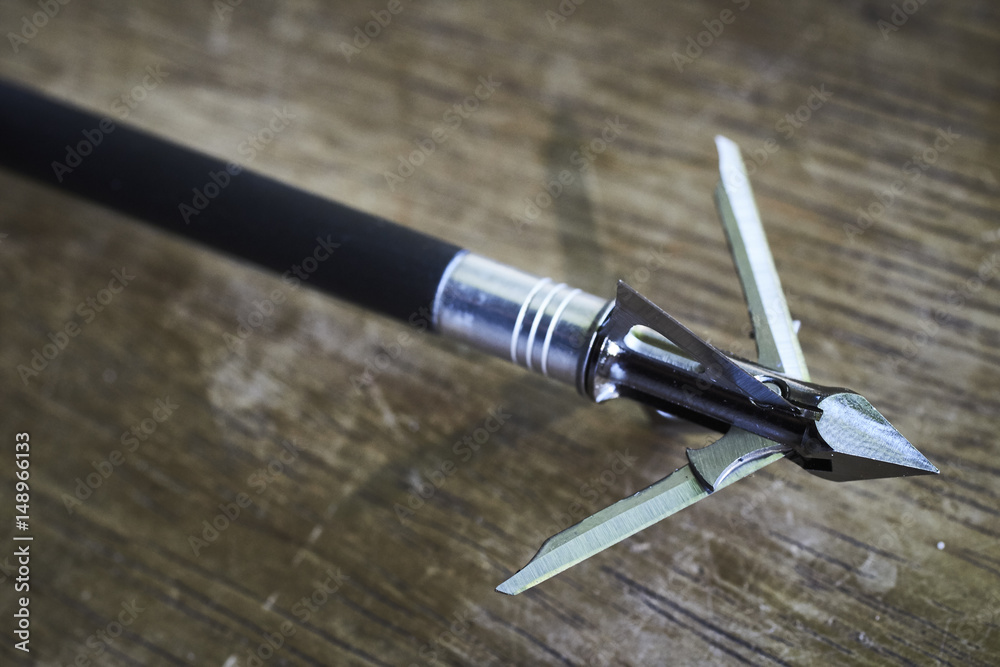 Naklejka premium Bowhunting Broadheads