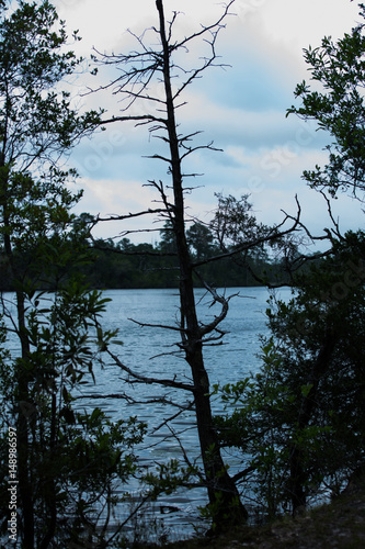 view