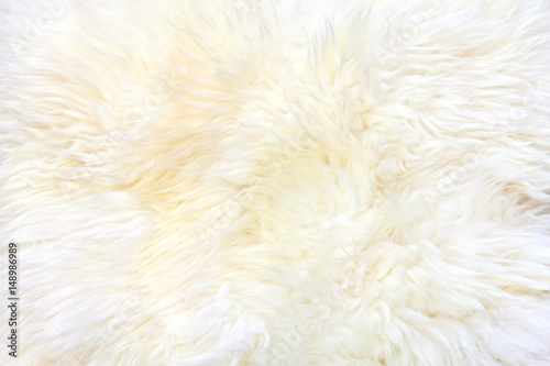 Obraz na plátně Background of sheepskin fur.