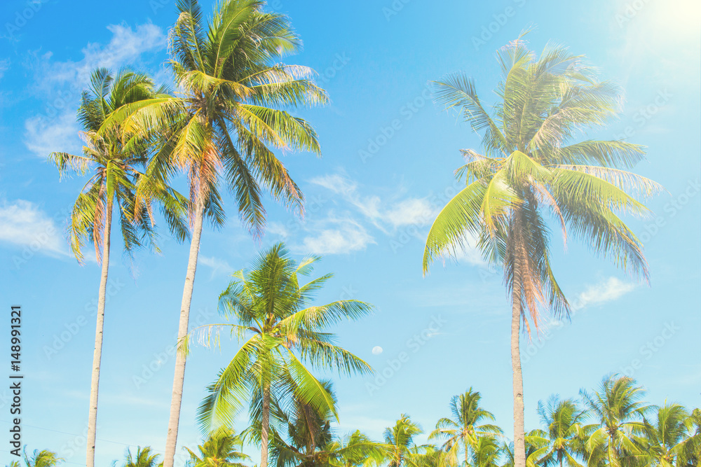 Palm tree in hot air of tropical island. Bright blue sky background.