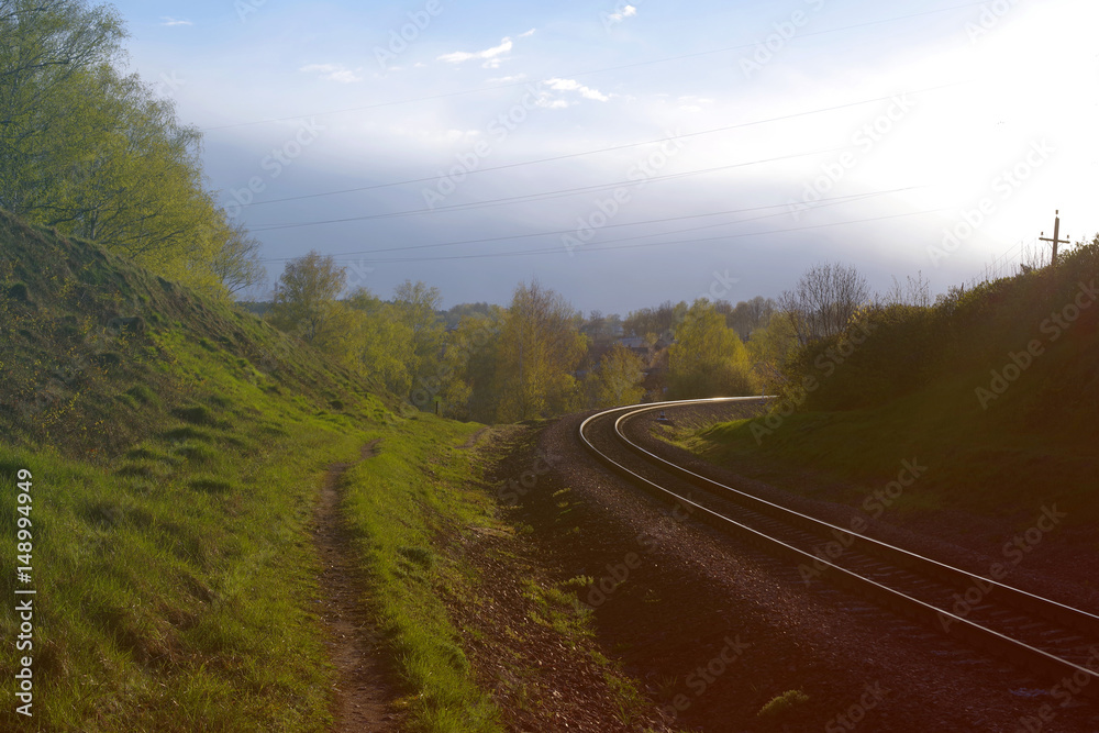 Naklejka premium Railway among greenery of grass and trees, toned