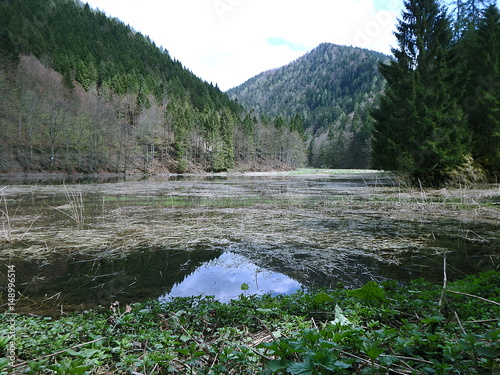 Mountain lake in the spring   Slovakia - Great Fatra 