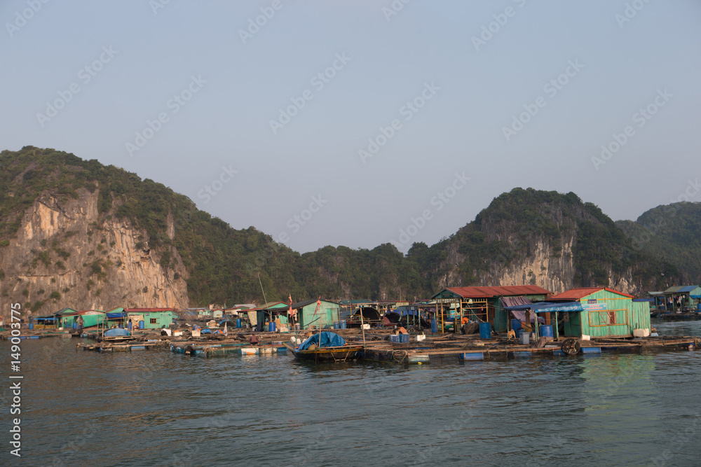 Island scene in near Cat Ba Island, Vietnam