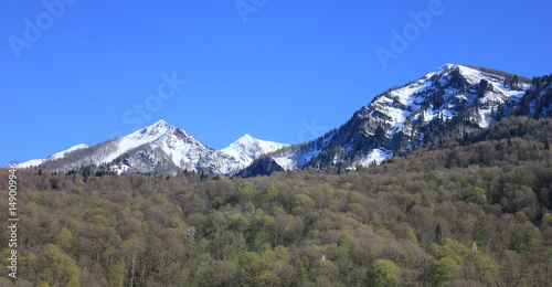 Mountain landscape. Snowy mountains peaks and forest at foot of mountain.