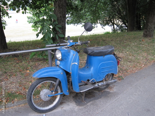 Schwalbe