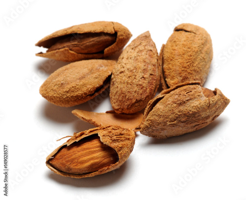 Mènnula Migdały Mandle Mandorla Amandel noot Mandorle plod Almond Αμύγδαλο Almendra