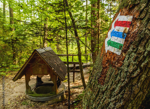 Poland, Lublin Voivodeship, Gorecko Koscielne, Well in the forest photo