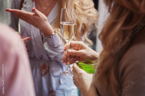 Portrait of happy young friends touching the glasses with each other