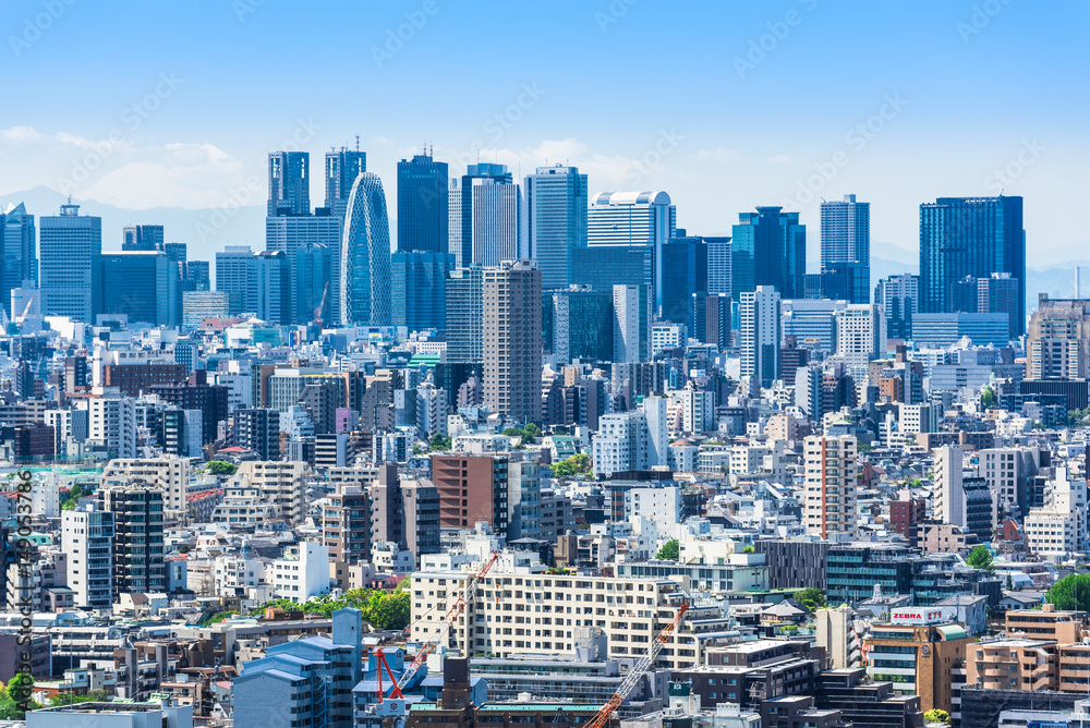 Fototapeta premium 新宿副都心の高層ビル群