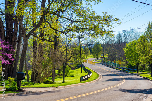 Picturesque road curving through residential areas in early spring sunlight