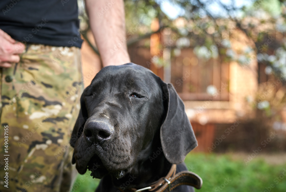 dog in leash, owner, watchman dog in leash, owner, watchman