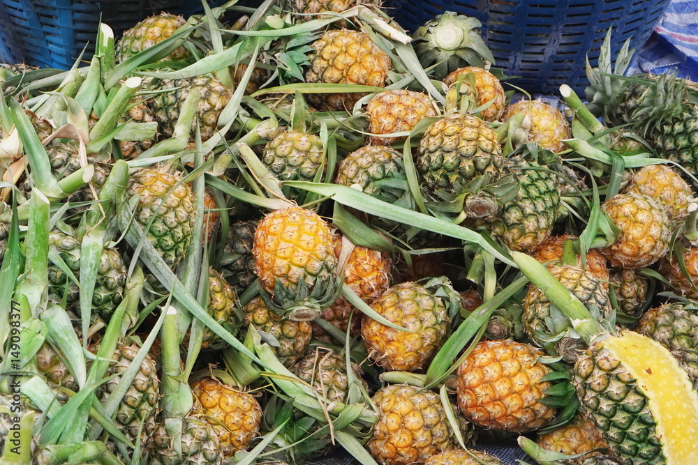 fresh pineapple at the market fresh pineapple at the market