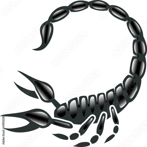 Black and White Scorpion Design photo