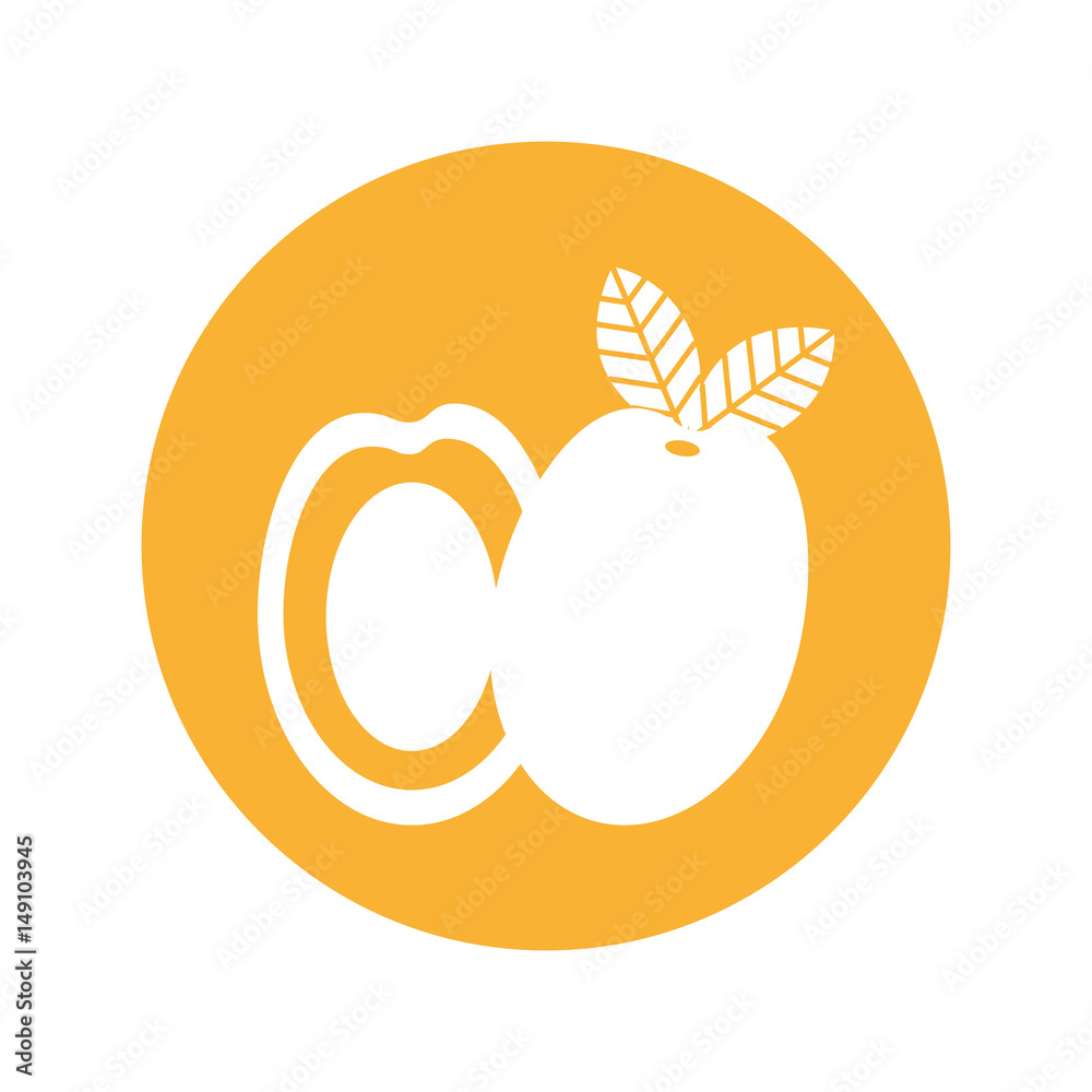 mango fresh fruit isolated icon vector illustration design mango fresh fruit isolated icon vector illustration design