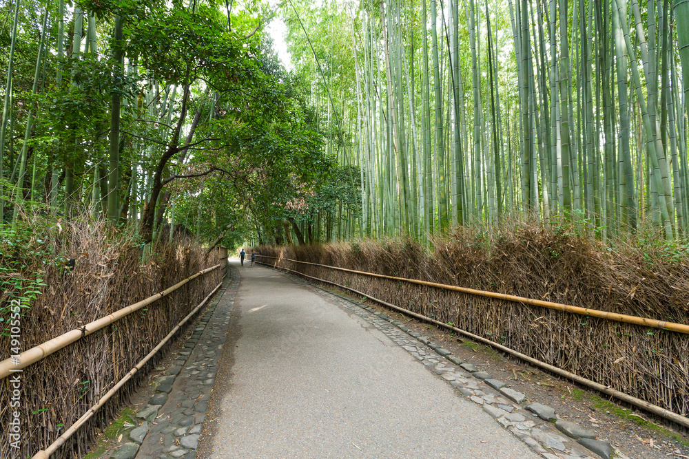 Obraz premium Arashiyama