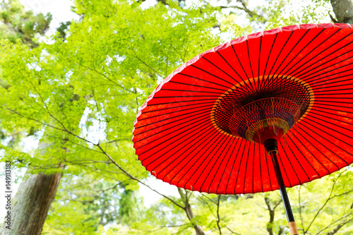 Red umbrella in the park with maple