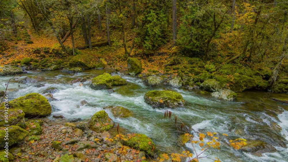 Blue river flowing among the bright yellow trees. The bright colors of autumn. Amazing fall. Autumn forest on the riverside. 4K, 3840*2160, high bit rate, UHD Blue river flowing among the bright yellow trees. The bright colors of autumn. Amazing fall. Autumn forest on the riverside. 4K, 3840*2160, high bit rate, UHD