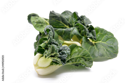 Milk cabbage bok choy photo