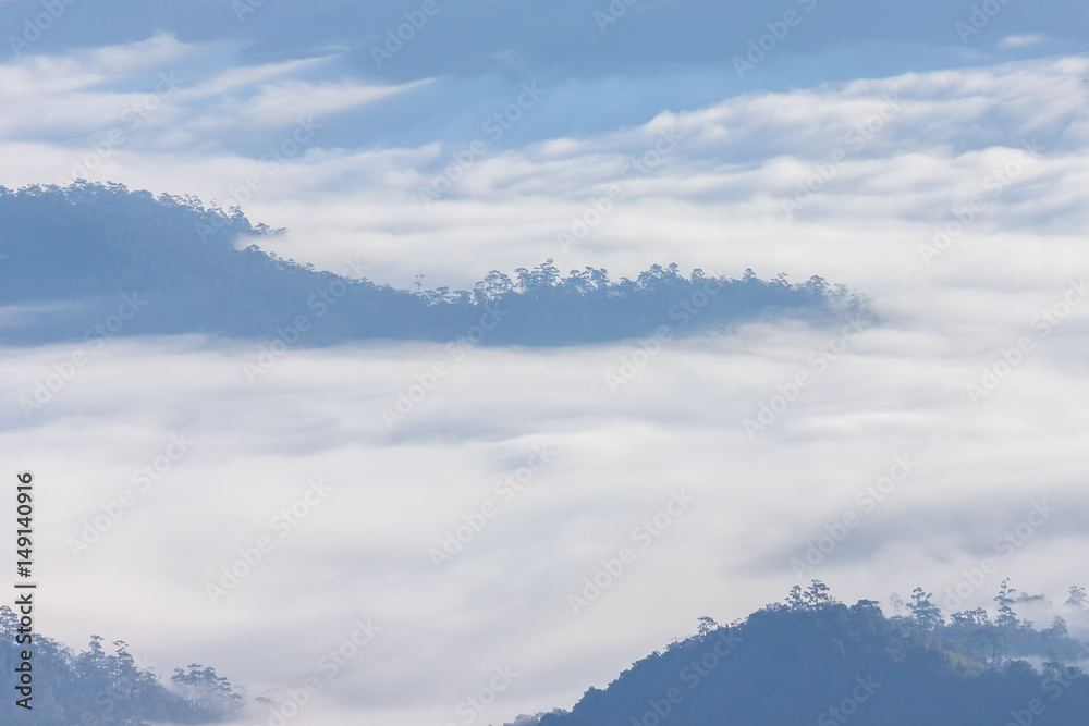 Morning Mist and Fog Moving Slowly From View Point in Sunrise Time at Doi Luang Chaing dao , High Mountain in Chiangmai , Thailand

