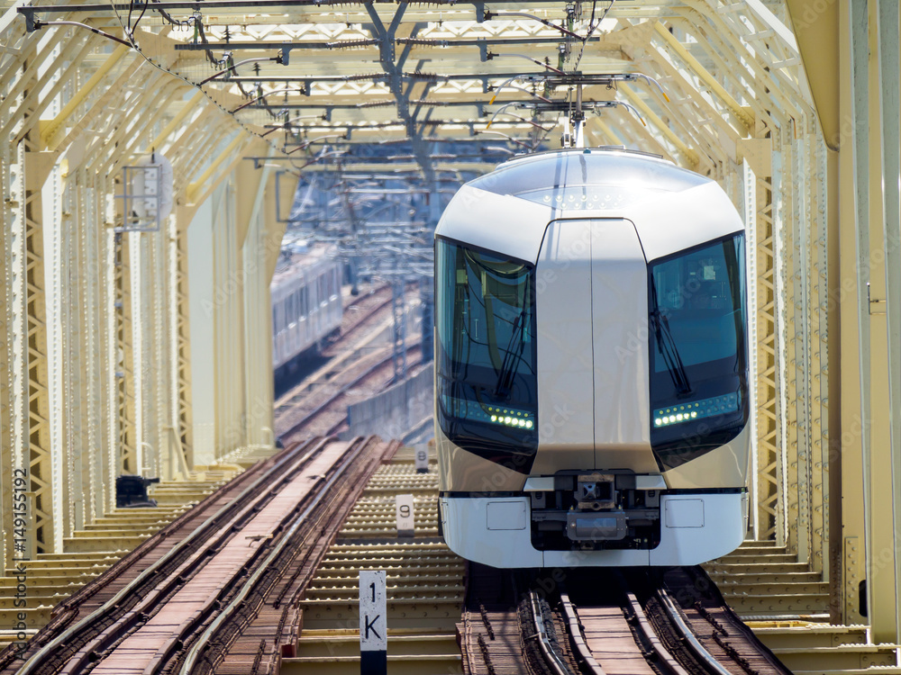 Naklejka premium 特急リバティ