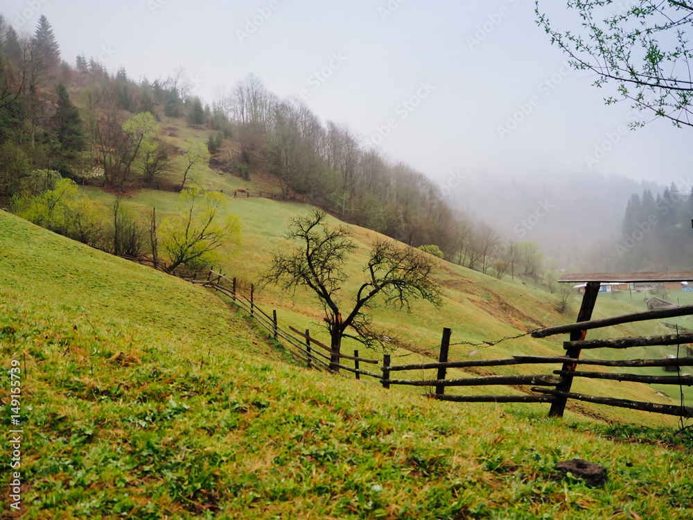 Carpathians-Dzembronya panorama landscape