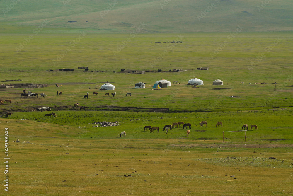 Steppe with yurts and horses