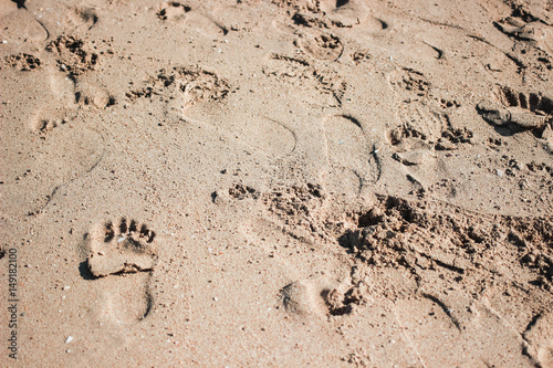 Many human footprints on the beach