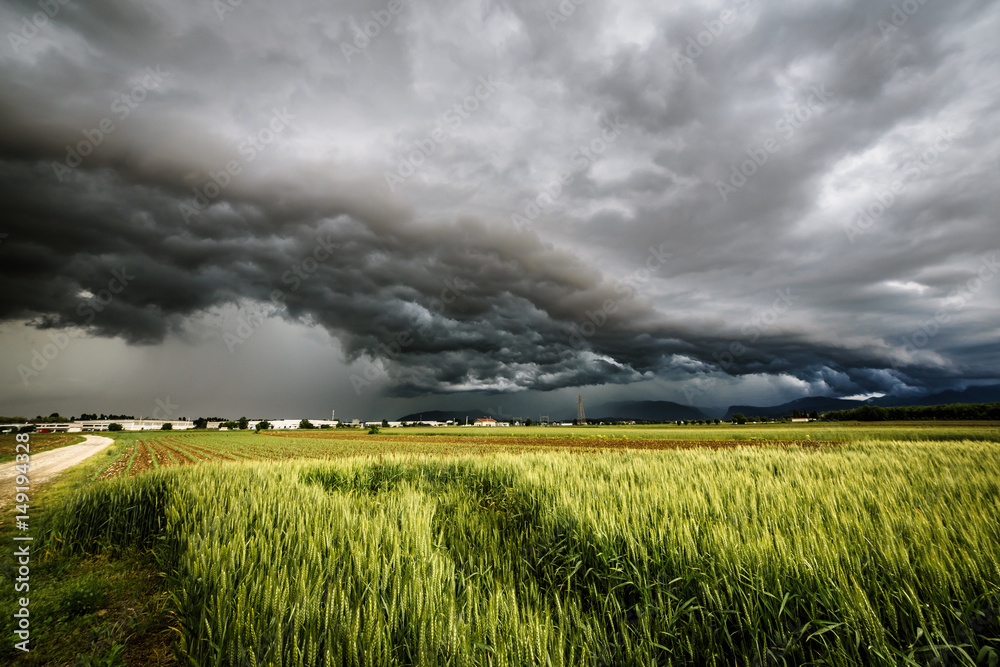 storm over the fields storm over the fields