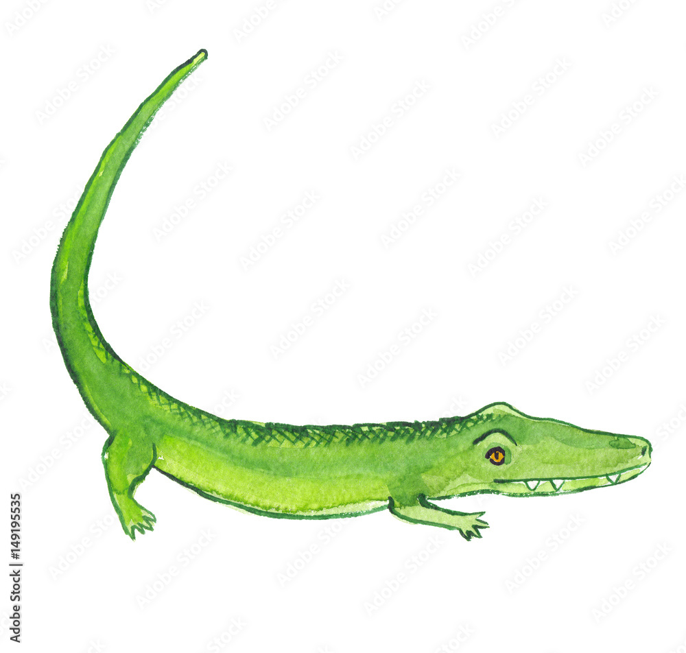 Green cartoon crocodile with long curved tail painted in watercolor on  clean white background Stock Illustration | Adobe Stock