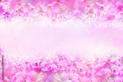 pink and purple spring flower Bougainvillea frame with copy space for text that can be used as wallpaper, wedding and event background 