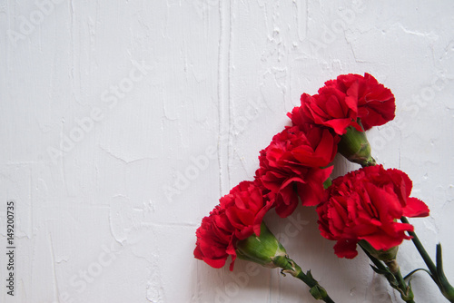 Carnation flowers and George Ribbon on abstract light background. Victory Day - May 9. Jubilee 70 years.