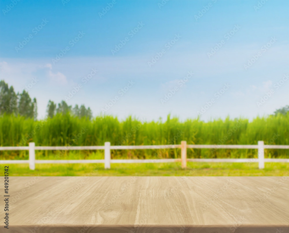 Wood table top and blurred green grass field in farm background with vintage filter Wood table top and blurred green grass field in farm background with vintage filter