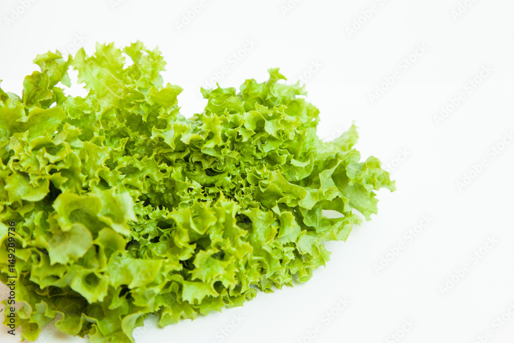 Green kinky salad isolated on white background. Daylight, open space for your text. Green kinky salad isolated on white background. Daylight, open space for your text.