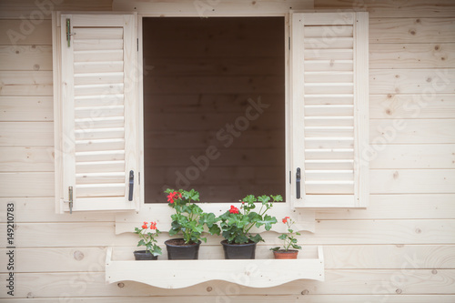 Flowers on rustic window © bizoo_n