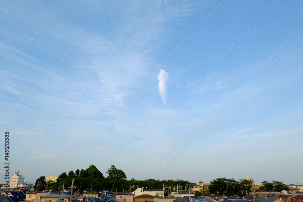 Fototapeta premium 鱗雲と初夏空