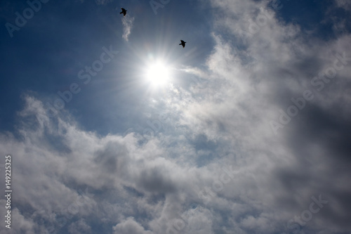 眩しい太陽と天空を舞う鳥と雲 © Ryuji