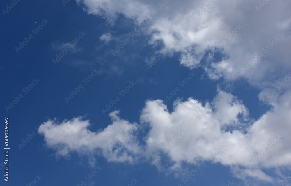 Fototapeta premium 青空と不思議な雲「空想・雲のモンスターたち」爽快、爽やかなどのイメージ