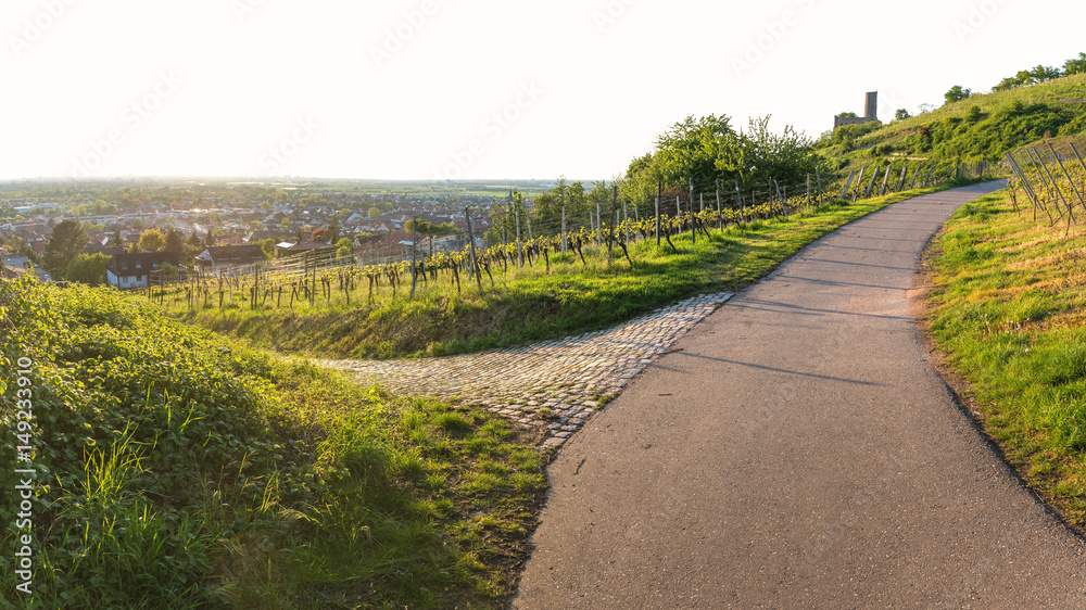 Schriesheim Strahlenburg und Weinberge