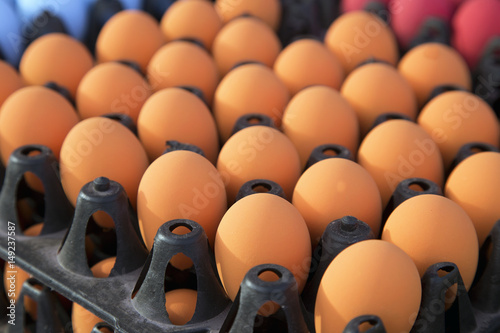 eggs in the plastic crate