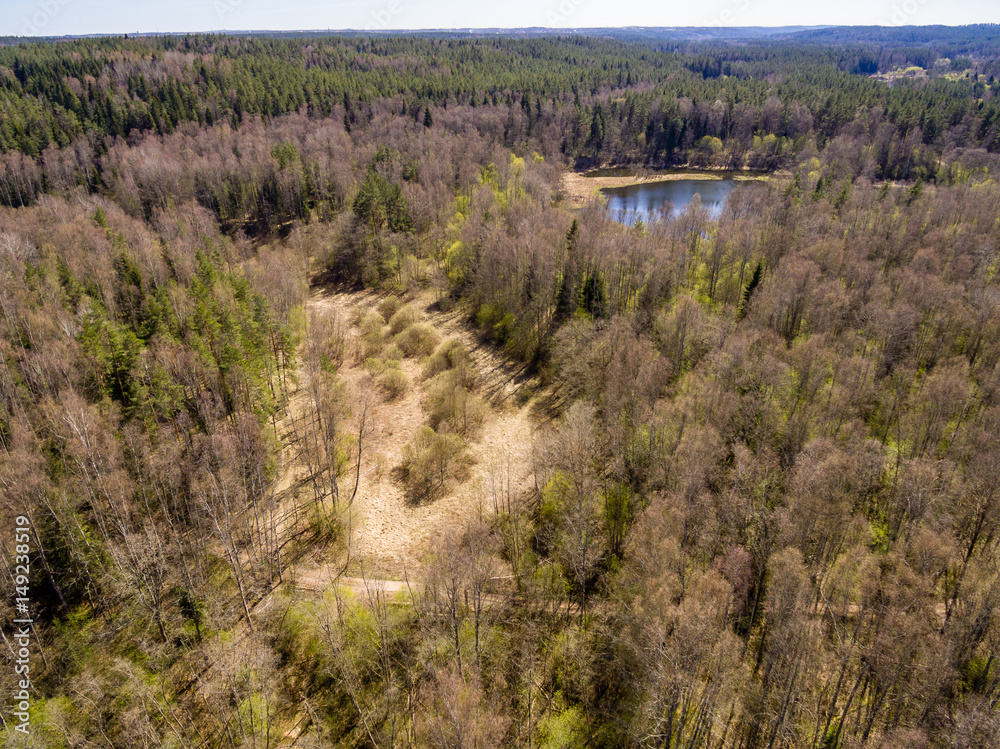 Fototapeta premium drone image. aerial view of rural area with fields and forests
